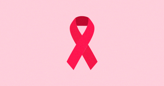    ,         40% . ,   ,   , 