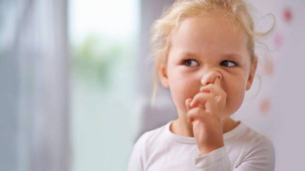 Чому потрібно заохочувати дітей колупатися в носі? Більшість із нас погодяться, що колупатися в носі – не надто хороше заняття. А їсти шмарклі – і зовсім грубо. Утім, діти нерідко це роблять. Ми або пе
