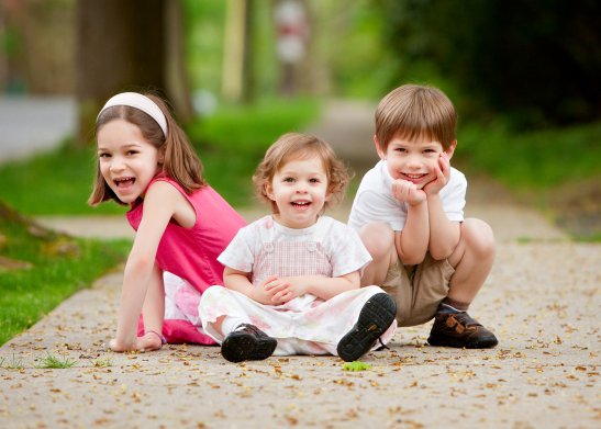   ,           43     . ,    