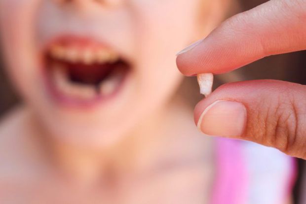  ,       ,      ,   .   