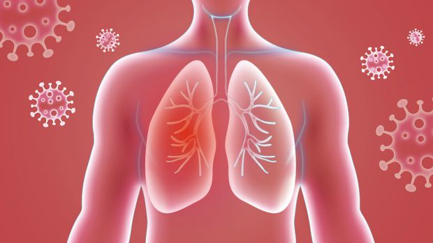 ��� ������ �� ������ ��������� ������: �������� �����������, ������, ����� ������� �� ���� �� ��������������� ������ �������� ������� ���������� �