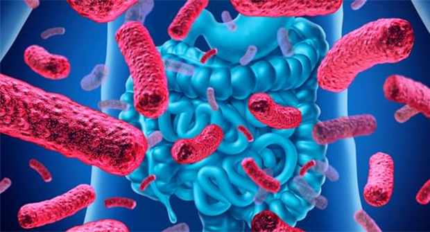 4325_0.png (377.93 Kb)