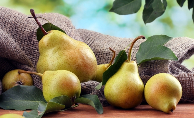  -   ,       ' .     ,   , 