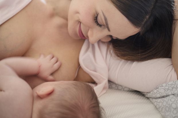  ,     ,   ,       ,   ,   ,  