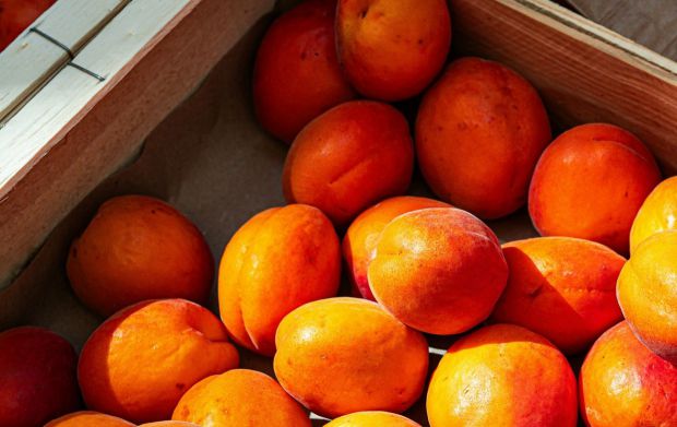 ������� ������� ��������� ����������� � ��������� ������. ��������� ������� ������ ���������, ��� � �������� ����� ������� �������� ������� � ����