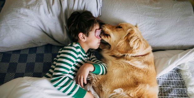 ʳ                 .