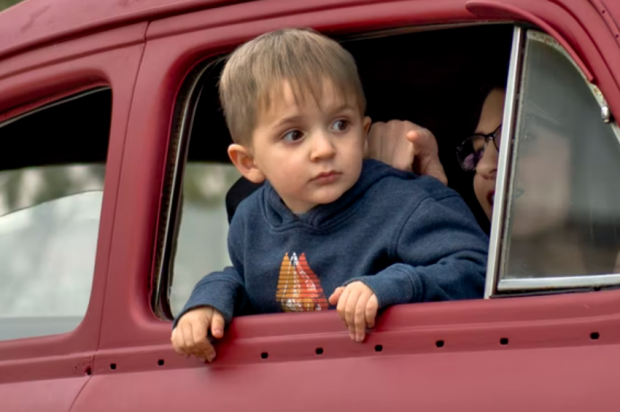      :   20-30      ,      :  