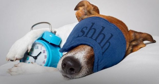 ����������� ������ ������, ����� � ���� �� �������� ��, � �������� �������� ������, �� ��������� ������ �� ���� ���. ���� ����� ������ �����