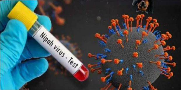 7841_5.jpg (32.79 Kb)