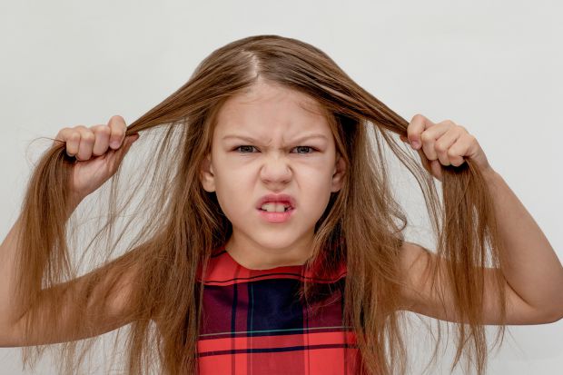 8177_4.jpg (40.46 Kb)