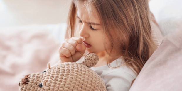  ,         ,     (  croupe, ).  