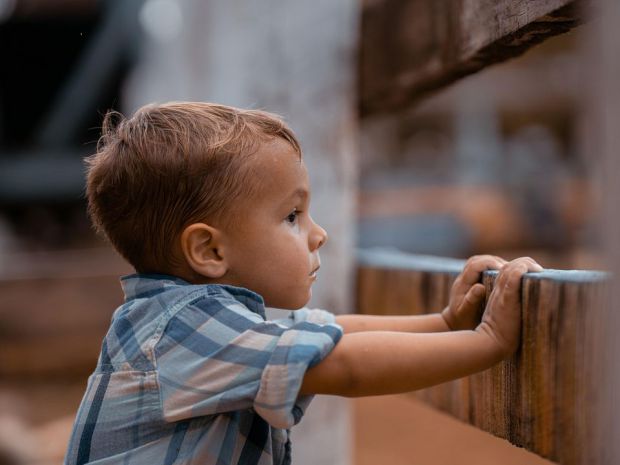 ������ ����������� � �� �� ����� � �� ������ ���������� ���������. ��������� �� ������: ���� ���� �� ��� � ������ ��������� ��� �������� ��������