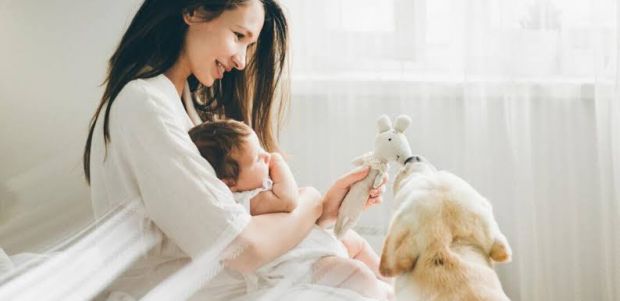 ϳ����������� ������� � �� �� ������ �� �����, � ��������� �������� ����, ���� ������ ����������� ������� �� ��������.