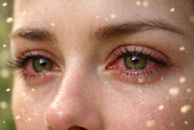 ����� ���������� ��� � ��������� �����, ������� �����������, �� �� �������� ������� ���������. ����� ����, �� ������ ������ �� ����� �� ������ ����