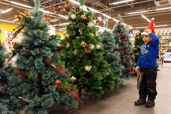 9338_3.jpg (89.43 Kb)