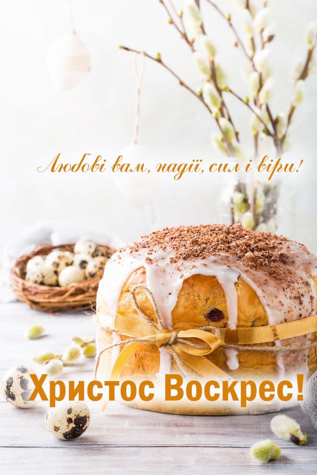 9897_3.jpg (86.65 Kb)