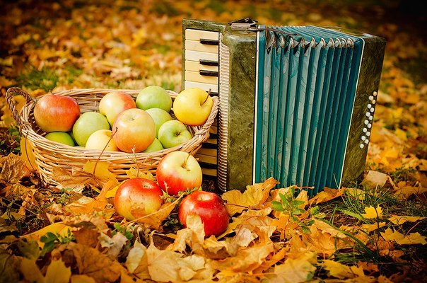 ���� ������� ���� ������ � �������� ������� �� ���� ������. ���� �� ������ ���� �������, � �� �����, ���������, �� ���������� �������, ���� ��� ��